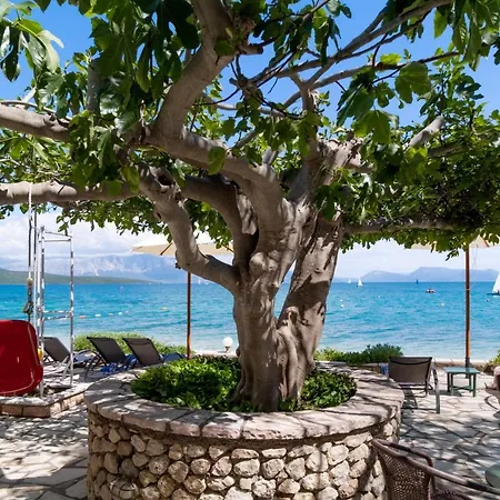 Club - 1 アパート ニキアナ